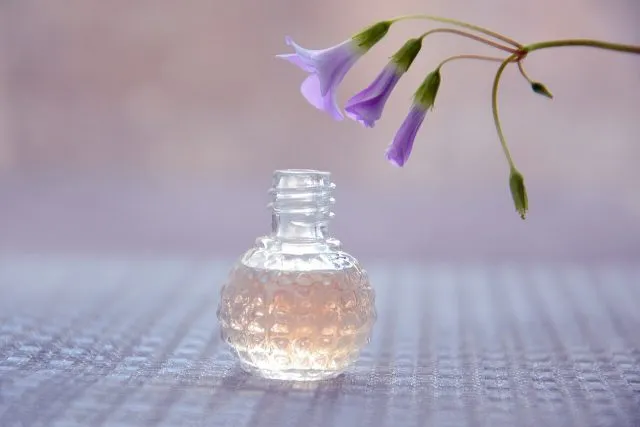 Jakie damskie perfumy cenią sobie mężczyźni?